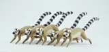 Alto’s Leaping Lemurs